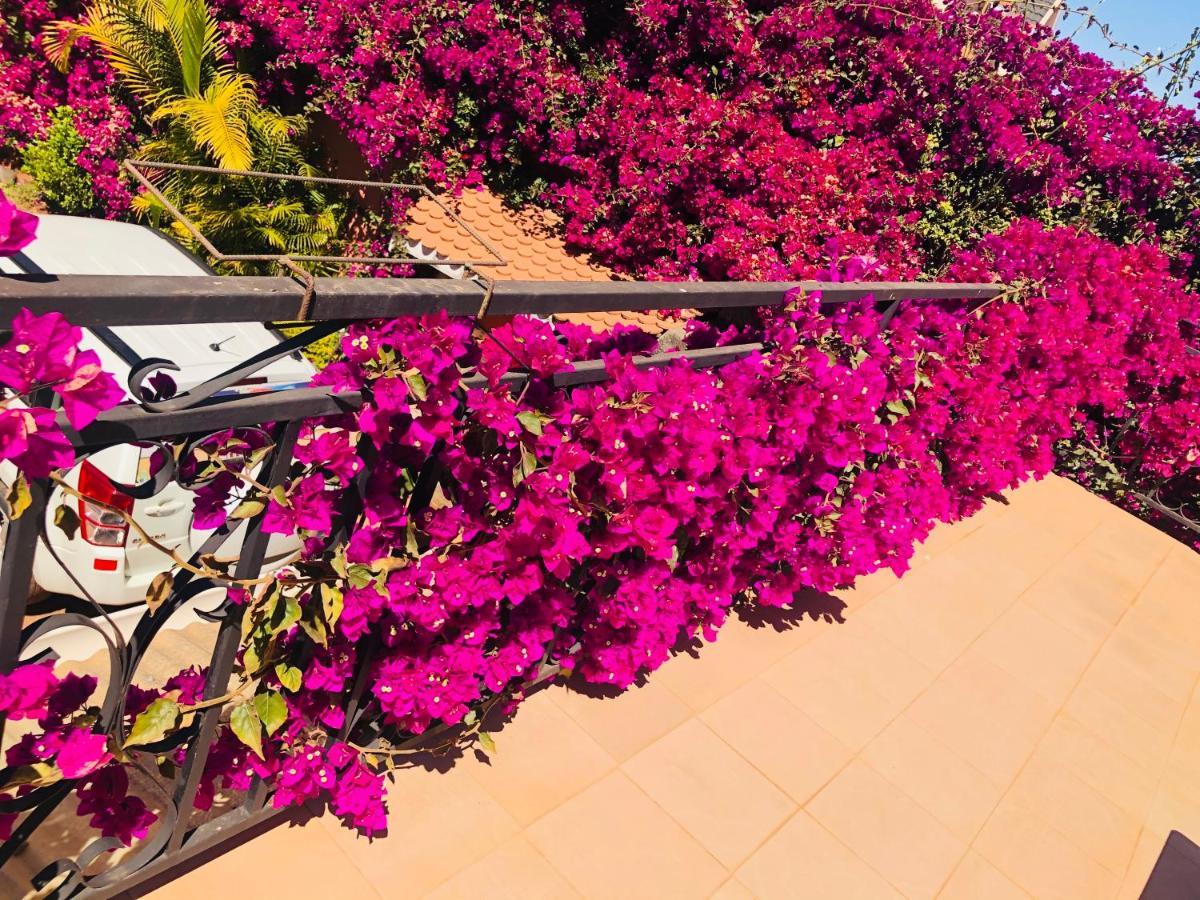 Petite Flower Guest House Talata-maty Exteriör bild
